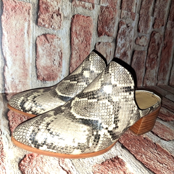 Steven by Steve Madden | Deandra Snakeskin Embossed Point Toe Mules - Picture 11 of 16